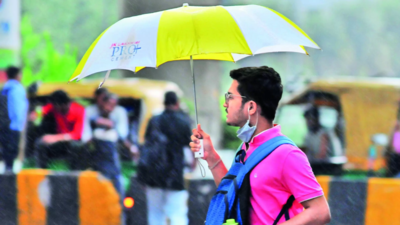 Showers, thunderstorms likely for 2 days: IMD