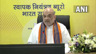 Over 1.40 lakh kg drugs destroyed, Amit Shah says aim is to ensure no youth under influence of narcotics