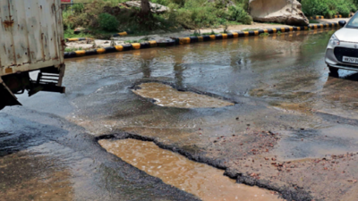 Riddled with craters, these sector roads not revamped for five years