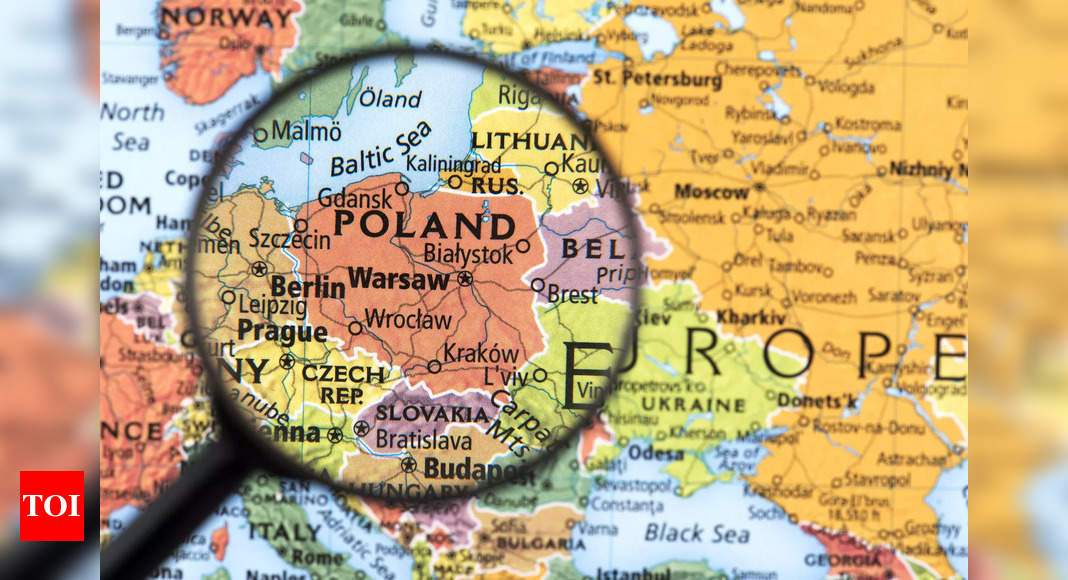 Polska ptasia grypa: Polska zgłosiła wybuch ptasiej grypy u kotów: WHO |  Wiadomości ze świata