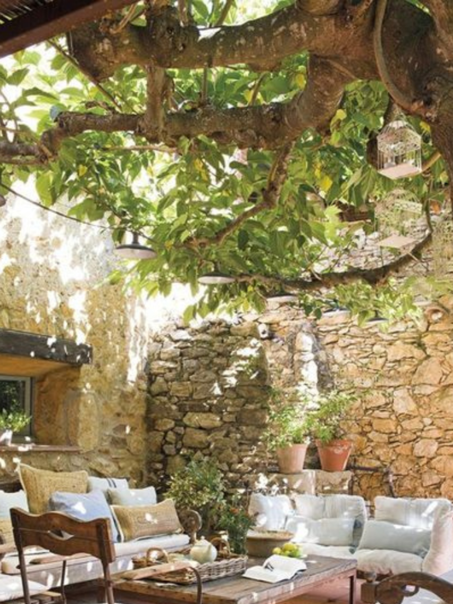 Why You Should Avoid Growing These Plants In Your House Yard Times Now