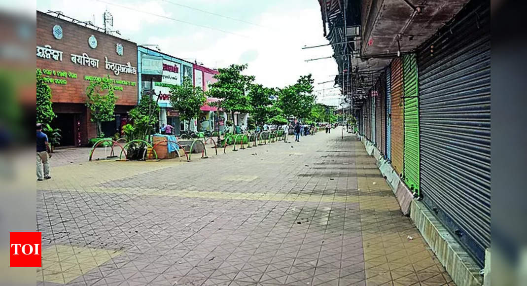 WATCH: Monkey fear in Market Building Bhubaneswar