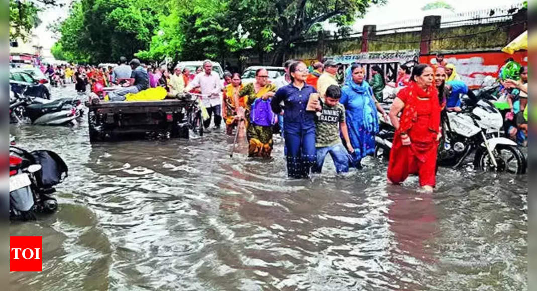 10 Districts Still Hit By Floods In Up | Lucknow News - Times of India