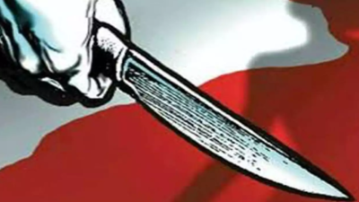 Tamil Nadu: Techie murders wife and daughter, attempts suicide