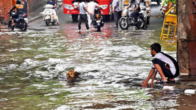 Delhi floods: Re-opening of Kashmere Gate ISBT to provide transport boost