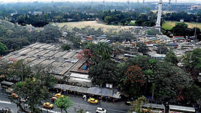 Saving Shaheed Minar greens: Govt proposes underground solution