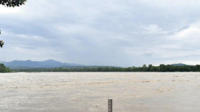 Haridwar areas face flood threat as GVK dam releases water