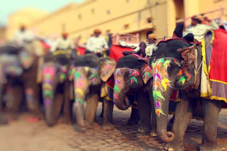 Colourful & vibrant culture