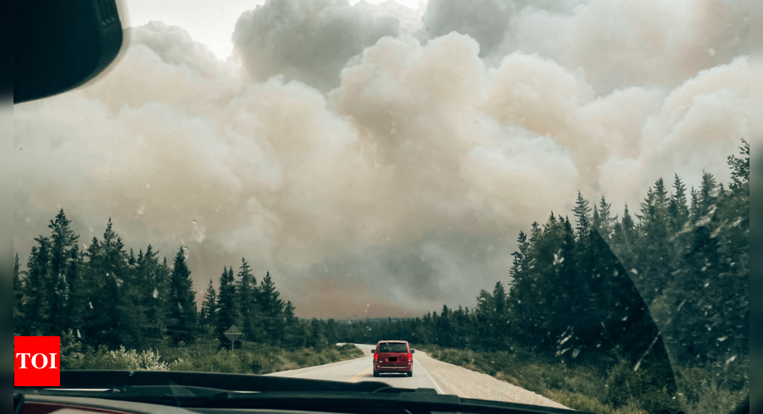 Communautés autochtones : les incendies de forêt au Canada frappent durement les communautés autochtones, menaçant leurs terres et leur culture