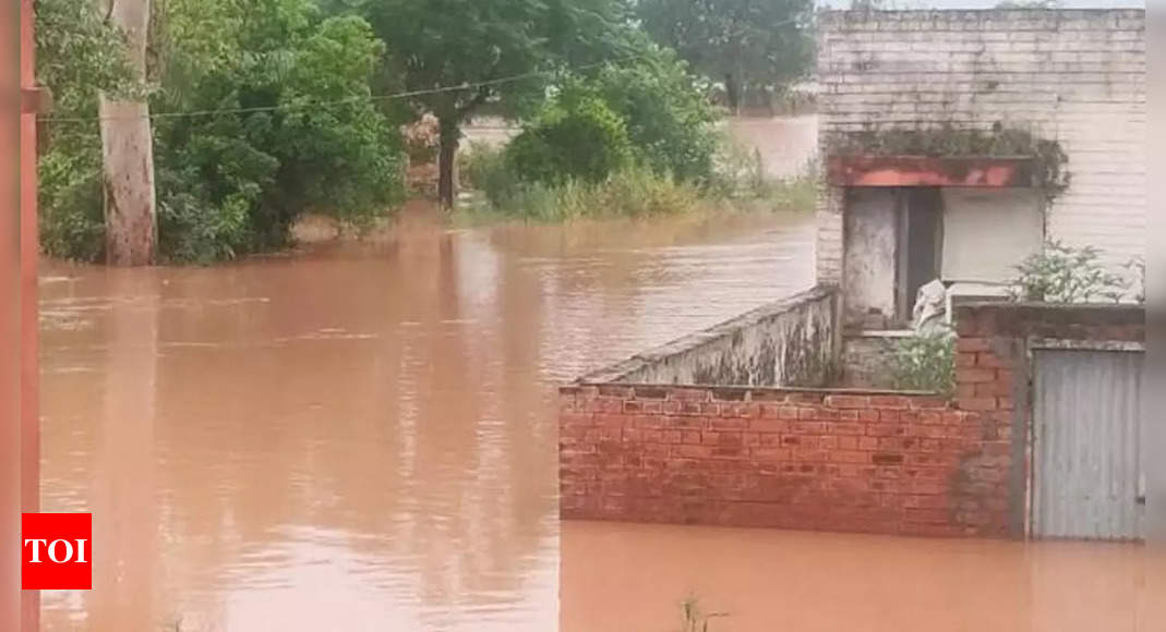 Heavy rainfall in Jammu and Kashmir, Himachal Pradesh brings misery in ...