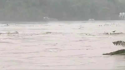 Discom junior engineer falls into Yamuna, rescue ops on