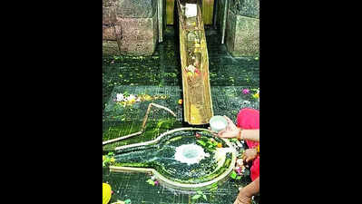 As footfall of devotees dips, priests demand resumption of ‘sparsh puja’
