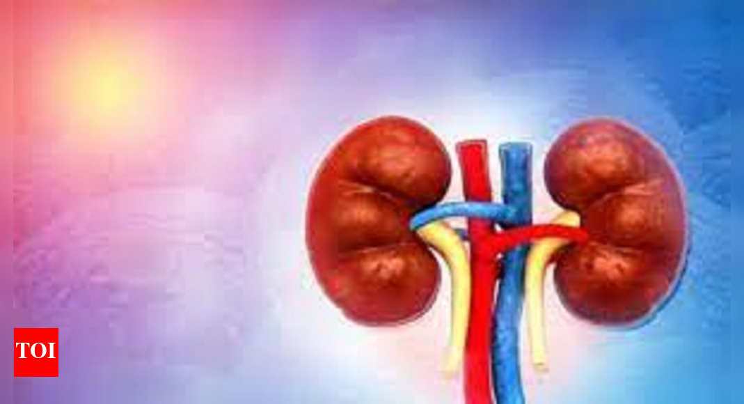 Pockets With High Kidney Probs Seen In Akola Too Nagpur News Times