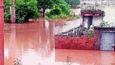 Pathankot flooded after downpour in hills leads to rise in Ujh