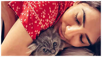 Samantha Ruth Prabhu gives a glimpse of the new member of her family as she shares a cuddly photo