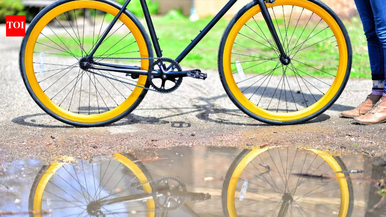 Single speed cycles under 15000: Sturdy premium picks for you - The ...