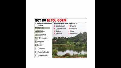 75 water bodies in Goa polluted with sewage, says WRD minister