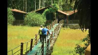 Draft agro eco-tourism policy lays thrust on conservation