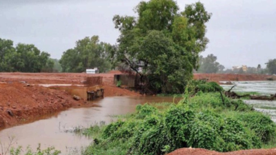 Bicholim rivers in spate, tree falls and landslides endanger houses