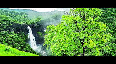 Tourist entry restricted at forts & waterfalls across Nashik dist
