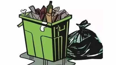 No co for doorstep collection: Trash piling up in Manesar
