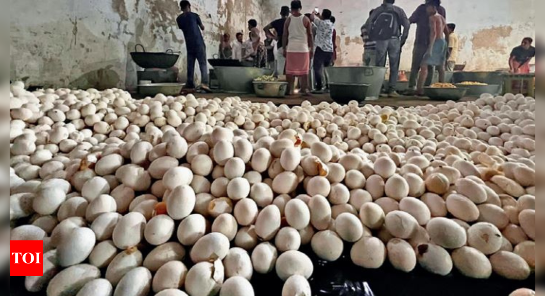 3-2-lakh-eggs-160-quintal-rice-to-feed-over-75-000-tmc-workers-putting