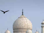 First in 45 years: Yamuna flood waters touch walls of Taj Mahal