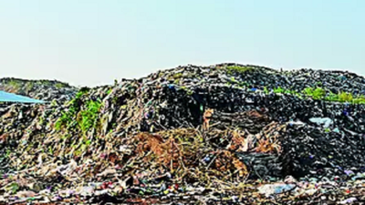 NGT asks Puri civic body to remove legacy waste from Baliapanda