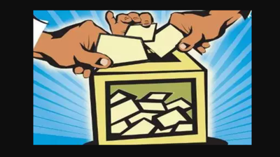 Lok Sabha election 2024: Officials to verify voter details door-to-door in Chennai