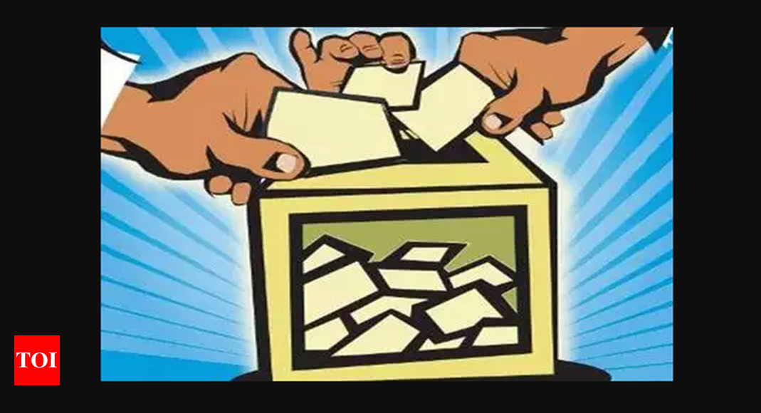 Lok Sabha Election 2024 Officials To Verify Voter Details Door To Door   Photo 