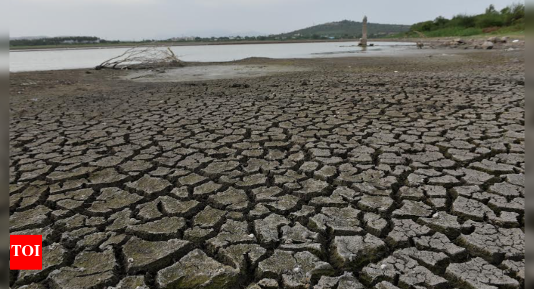 25 revenue blocks in Tamil Nadu hit by moderate drought; affected ...