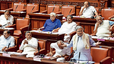 14 bills passed without debate in oft-disrupted monsoon session