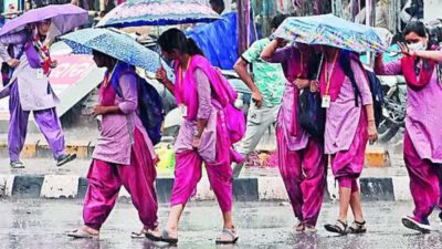 IMD forecasts rain for next 15 days, yellow warning for 11 dists
