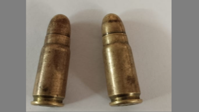 Rajasthan farmer arrested after two bullets recovered from his luggage ...