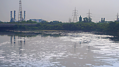 Yamuna river's water level hovers around danger mark in Delhi