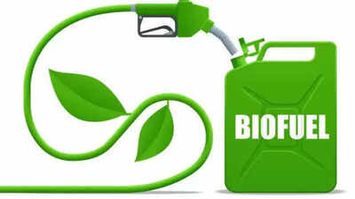 Global Biofuels Alliance: ‘Field to fuel’: 19 countries join India to ...