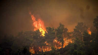 30,000 people evacuated as wildfires rage in Greek Rhodes Island