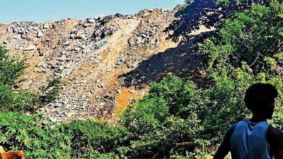 Green tribunal gives BMC 2 weeks to clear debris from Mithi in Aarey