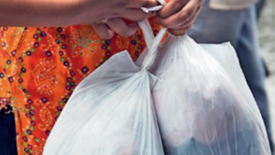 Single-use plastic ban stays on paper