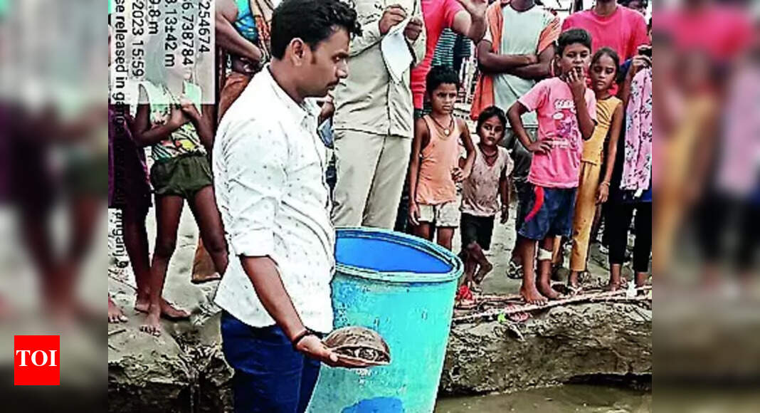 3 Wildlife Smugglers Nabbed With 39 Turtles In Deoghar Ranchi News