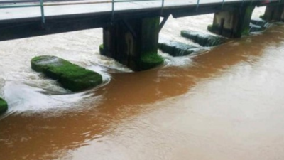 Tillari dam water discharge stokes inundation fear