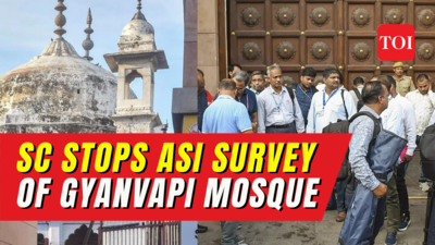 Gyanvapi mosque survey: Supreme court stops ongoing ASI survey till July 26