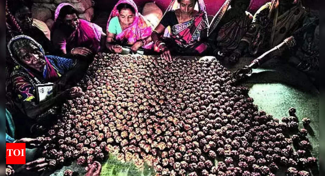 G20 trains spotlight on women at grassroots | India News