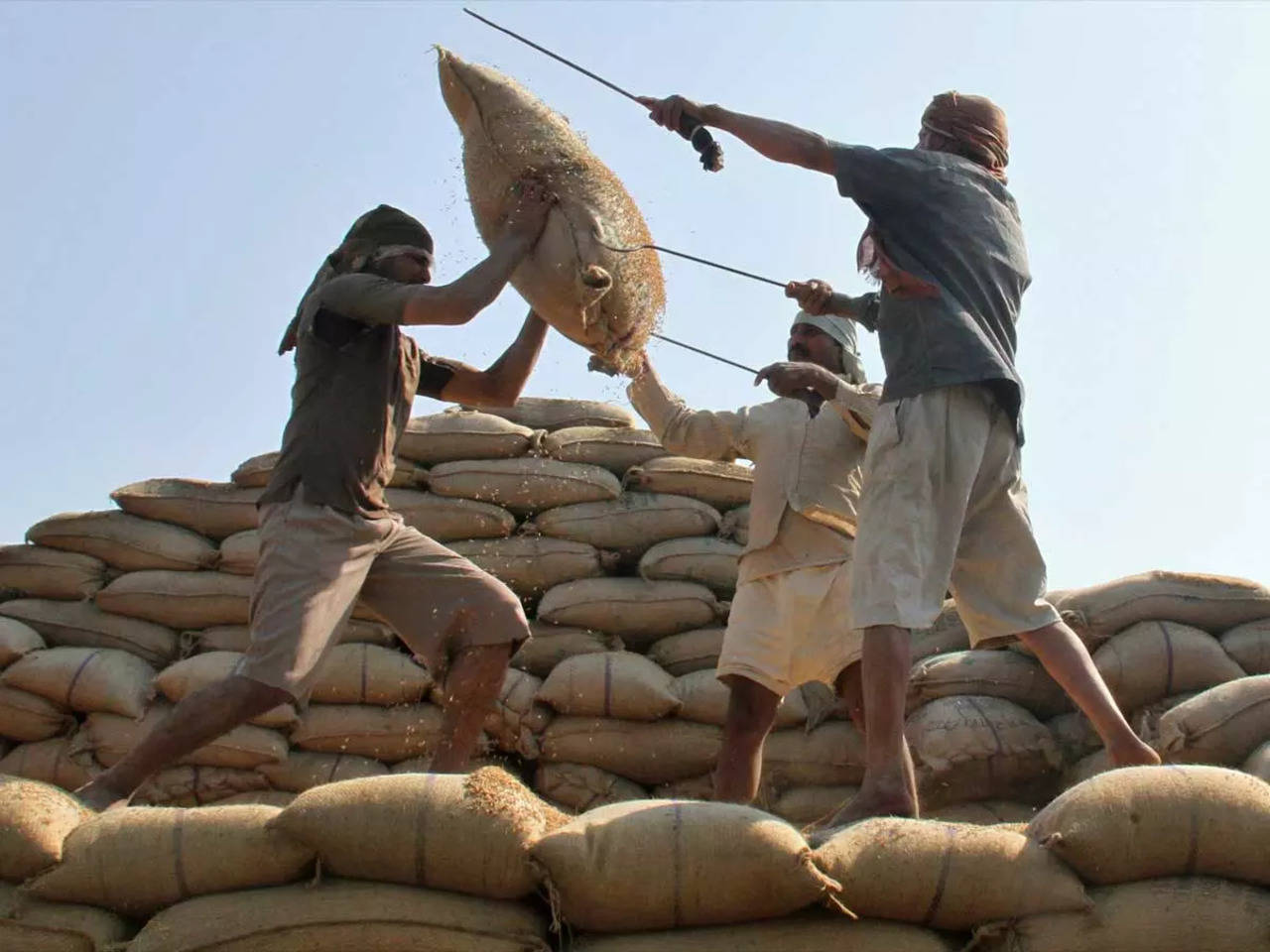 Rice: Rice prices are set to spike as India export curbs rock market -  Times of India