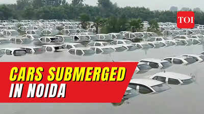 Watch: 300 vehicles submerged in Greater Noida's Ecotech 3 after Hindon water level rises in UP