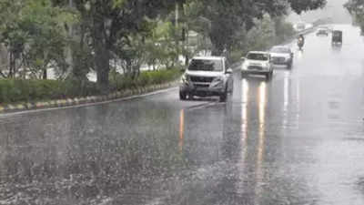 Mumbai just 155mm short of its wettest July ever