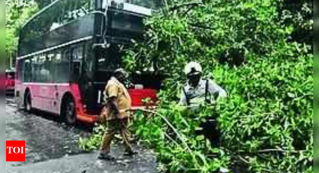 Tree Falls On Ac Double Decker Bus | Mumbai News - Times of India