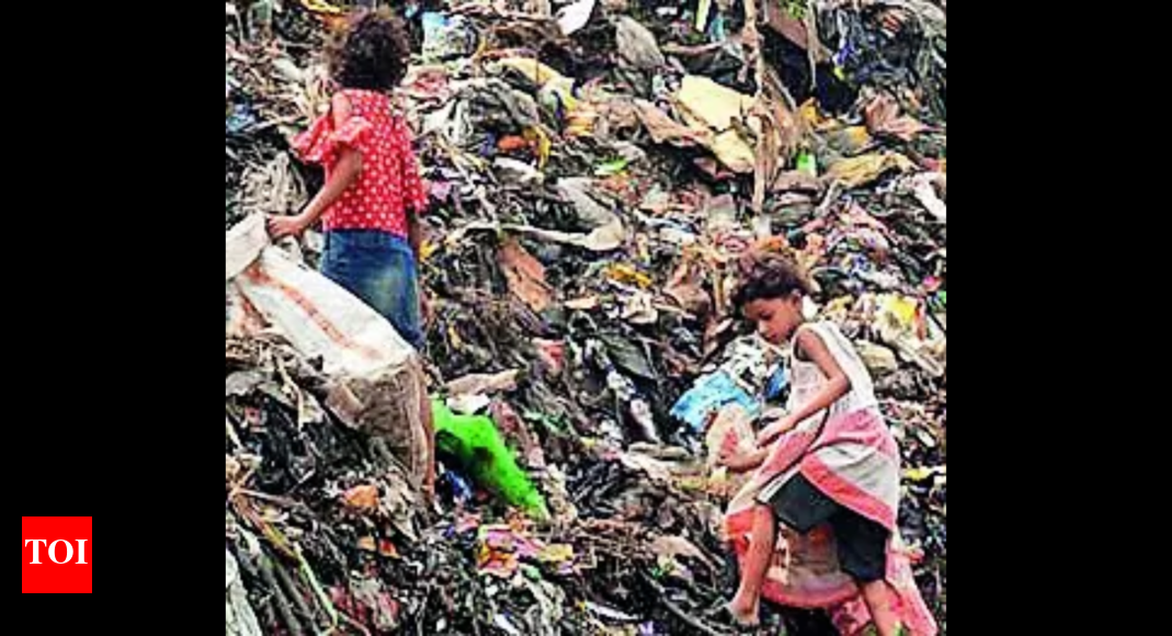 Activist Seeks Hc Help To Start Fin, Health Plans For Rag Pickers