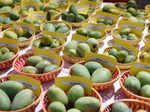 Mango Festival 2023: Aam mania hits the capital