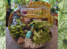 DIY: Make a terrarium at home